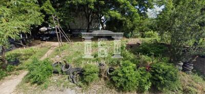 41441 - Phahon Yothin 48, Land for sale, Plot size 3,392 Sq.m.