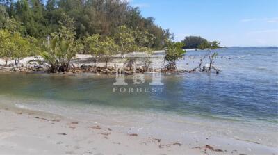 90301 - Klaeng, Rayong, Land for sale, Plot size 3 acres