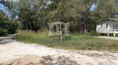 90301 - Klaeng, Rayong, Land for sale, Plot size 3 acres