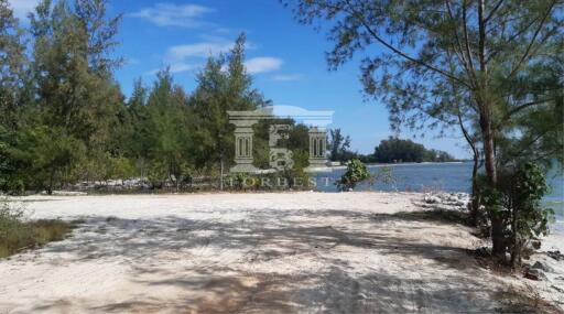 90301 - Klaeng, Rayong, Land for sale, Plot size 3 acres