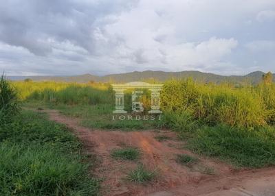90192 - Empty land for sale, Huai Sak, Chiang Rai, near Wat Than W. Wichramathi, area 6 rai.