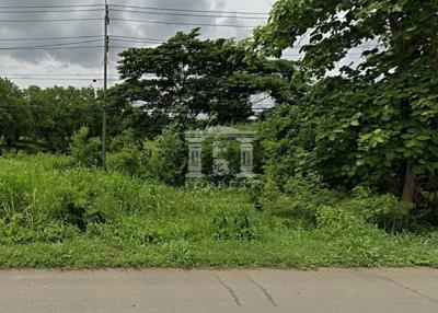 41149 - Land for sale, area 30 rai, next to Saraburi-Lom Sak Road. Phetchabun Province