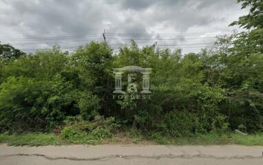 41149 - Land for sale, area 30 rai, next to Saraburi-Lom Sak Road. Phetchabun Province