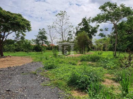 90078 - Land for sale near the road around Chiang Mai city. Near Ping River, Buak Khrok Road, Tha Wang Tan, Saraphi, area 4-1-41.70 rai.