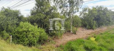 90233 - Asia Road Km.8, Bang Pa-in, Ayutthaya, Land for sale, plot size 7 acres