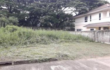 90035 - Royal Park view, Suwinthawong 44, Land for sale, Plot size 465 Sq.m.