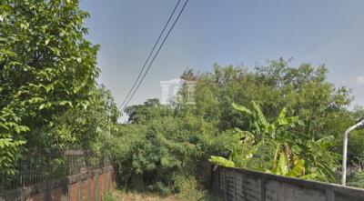 40142 Land Ngamwongwan 8, near The Mall, area 270 sq wa, suitable for building a house.