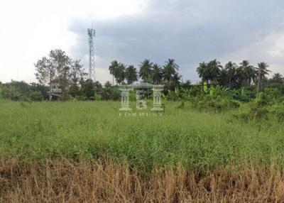 40219 Land for sale in Setthakit Village, Phetkasem, area 4-0-70 rai.