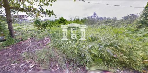 41840 - Land for sale, area 3-2-72.5 rai, Phetkasem Road 28, near Interchange Bang Wa.