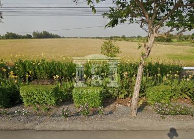 90314 - Khlong Kao Road, Nong Chok, Land for sale, Plot size 8,024 Sq.m.