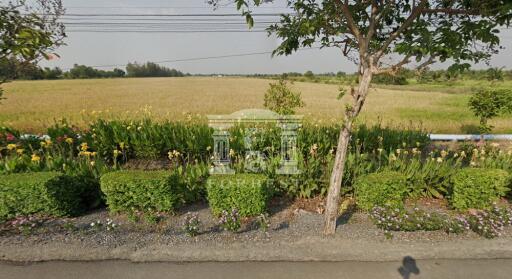 90314 - Khlong Kao Road, Nong Chok, Land for sale, Plot size 8,024 Sq.m.
