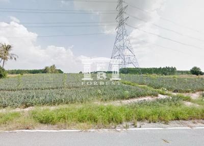 42375 - Land for sale, area 45-1-38 rai, Sriracha, Chonburi.