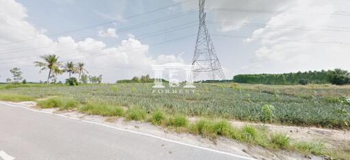 42375 - Land for sale, area 45-1-38 rai, Sriracha, Chonburi.