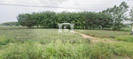 42375 - Land for sale, area 45-1-38 rai, Sriracha, Chonburi.