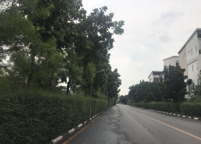 37555 - Land for sale, Chaengwattana Road, area 125.3 sq wa