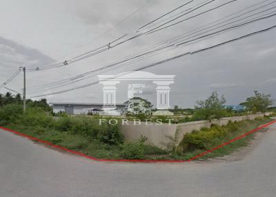 90303 - Kamphaeng Saen, Nakhon Pathom, Land for sale, Plot size 3.8 acres