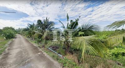 90286 - Krathum Baen, Wat Tha Mai, Samut Sakhon, Land for sale, Plot size 2.7 acres