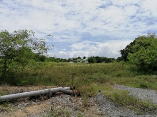 40193 - Central Salaya, Land for sale, Plot size 5.5 acres