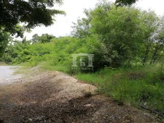 40193 - Central Salaya, Land for sale, Plot size 5.5 acres