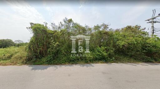 41342 - Klai Kangwon Palace, Hua Hin, Prachuap Khiri Khan, Land for sale, area 3,520 Sq.m.