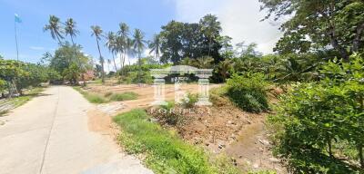 41776 - Land for sale next to the Andaman Sea, Takang Thung, Phang Nga, near Laem Sai Pier, Phuket, area 34-3-66.10 rai.