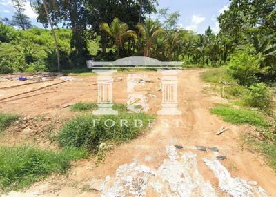 41776 - Land for sale next to the Andaman Sea, Takang Thung, Phang Nga, near Laem Sai Pier, Phuket, area 34-3-66.10 rai.