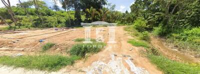 41776 - Land for sale next to the Andaman Sea, Takang Thung, Phang Nga, near Laem Sai Pier, Phuket, area 34-3-66.10 rai.