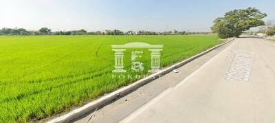 90433 - Land for sale in Bang Bua Thong-Suphanburi. Near CPALL warehouse, area 24-3-52 rai