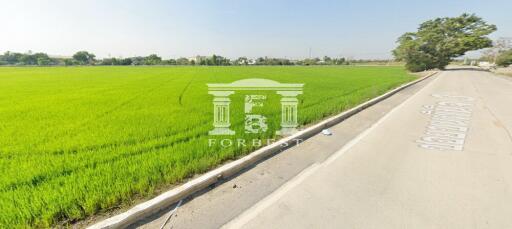 90433 - Land for sale in Bang Bua Thong-Suphanburi. Near CPALL warehouse, area 24-3-52 rai