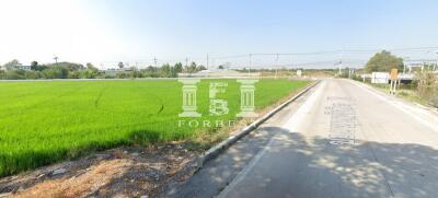 90433 - Land for sale in Bang Bua Thong-Suphanburi. Near CPALL warehouse, area 24-3-52 rai