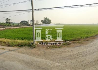 90433 - Land for sale in Bang Bua Thong-Suphanburi. Near CPALL warehouse, area 24-3-52 rai