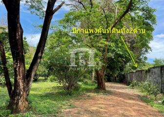 41278 - Sri Racha, Bang Saen Land for sale, area 3-3-15 rai.