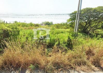 90854 - Land for sale, area 14-2-53 rai, along Khlong Raphiphat, Pathum Thani.