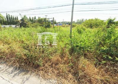 90854 - Land for sale, area 14-2-53 rai, along Khlong Raphiphat, Pathum Thani.