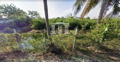 41042 - Borommaratchachonnani Road, Land for sale, area 7,784 Sq.m.