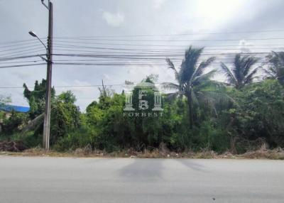 41013 - Suthisan Inthamara 25, Land for sale, plot size 1,228 Sq.m.
