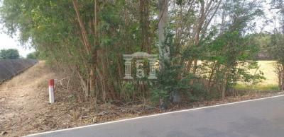 40734 - Salaya, Phutthamonthon, Land for sale, Plot size 12 acres