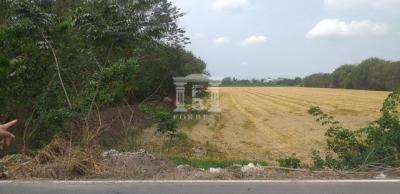 40734 - Salaya, Phutthamonthon, Land for sale, Plot size 12 acres