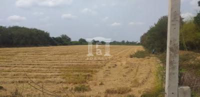 40734 - Salaya, Phutthamonthon, Land for sale, Plot size 12 acres