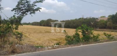 40734 - Salaya, Phutthamonthon, Land for sale, Plot size 12 acres