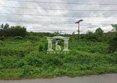 90391 - Land for sale in Tha Chang, Songkhla, area 206-1-38.8 rai, next to Phetkasem Road, near Bang Klam intersection.