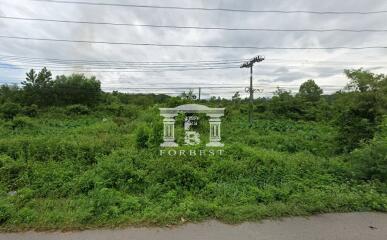 90391 - Land for sale in Tha Chang, Songkhla, area 206-1-38.8 rai, next to Phetkasem Road, near Bang Klam intersection.