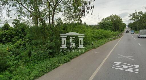90391 - Land for sale in Tha Chang, Songkhla, area 206-1-38.8 rai, next to Phetkasem Road, near Bang Klam intersection.