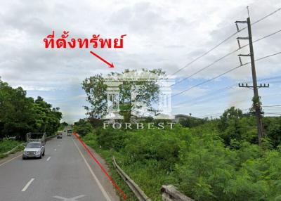 90391 - Land for sale in Tha Chang, Songkhla, area 206-1-38.8 rai, next to Phetkasem Road, near Bang Klam intersection.