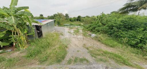 40621 - Wat Lat Pladuk Rd., Kanchanaphisek, Land for sale, Plot size 36 acres