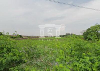 40621 - Wat Lat Pladuk Rd., Kanchanaphisek, Land for sale, Plot size 36 acres