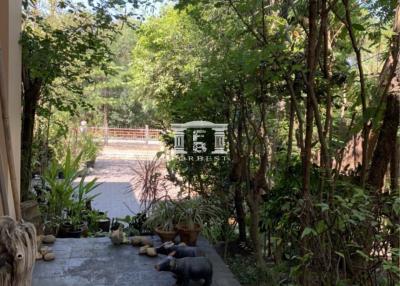 90657 - Single house, Krisada Nakhon Village 25 (Thanon Golf View), area 313 sq m., near Suvarnabhumi Airport.