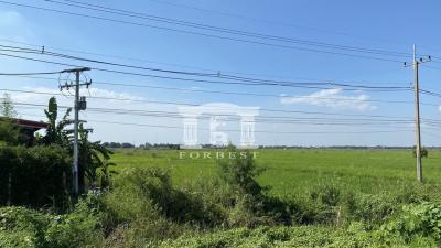41605 - Land for sale, Bang Pahan, Ayutthaya, near Bang Pahan Market, area 12-2-31 rai.