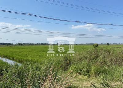 41605 - Land for sale, Bang Pahan, Ayutthaya, near Bang Pahan Market, area 12-2-31 rai.