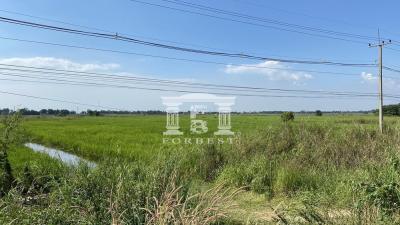 41605 - Land for sale, Bang Pahan, Ayutthaya, near Bang Pahan Market, area 12-2-31 rai.